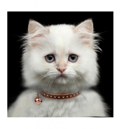 Collier chat Vega Milk & Pepper - 3