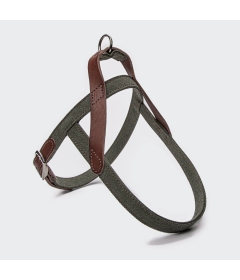 Harnais pour chien - Harnais Tivoli Cloud 7 - 2