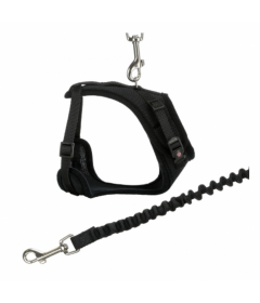 Harnais pour chien - Harnais Y avec Laisse Elastique Trixie - 1