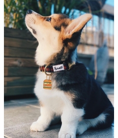 Collier pour chiens - Collier OH MY LORD French Bandit - 2