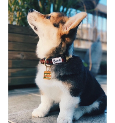 Collier pour chiens - Collier OH MY LORD French Bandit - 2