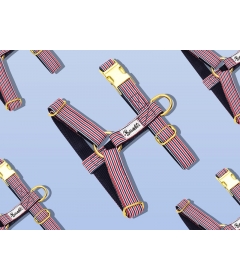 Harnais pour chien - Harnais THE FRENCH BANBAN French Bandit - 1