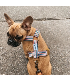 Harnais THE FRENCH BANBAN French Bandit - 2