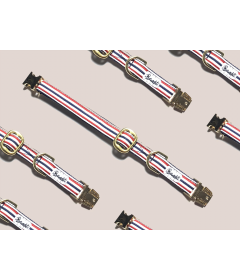 Collier pour chat - Collier THE FRENCH BANBAN Chat French Bandit - 1