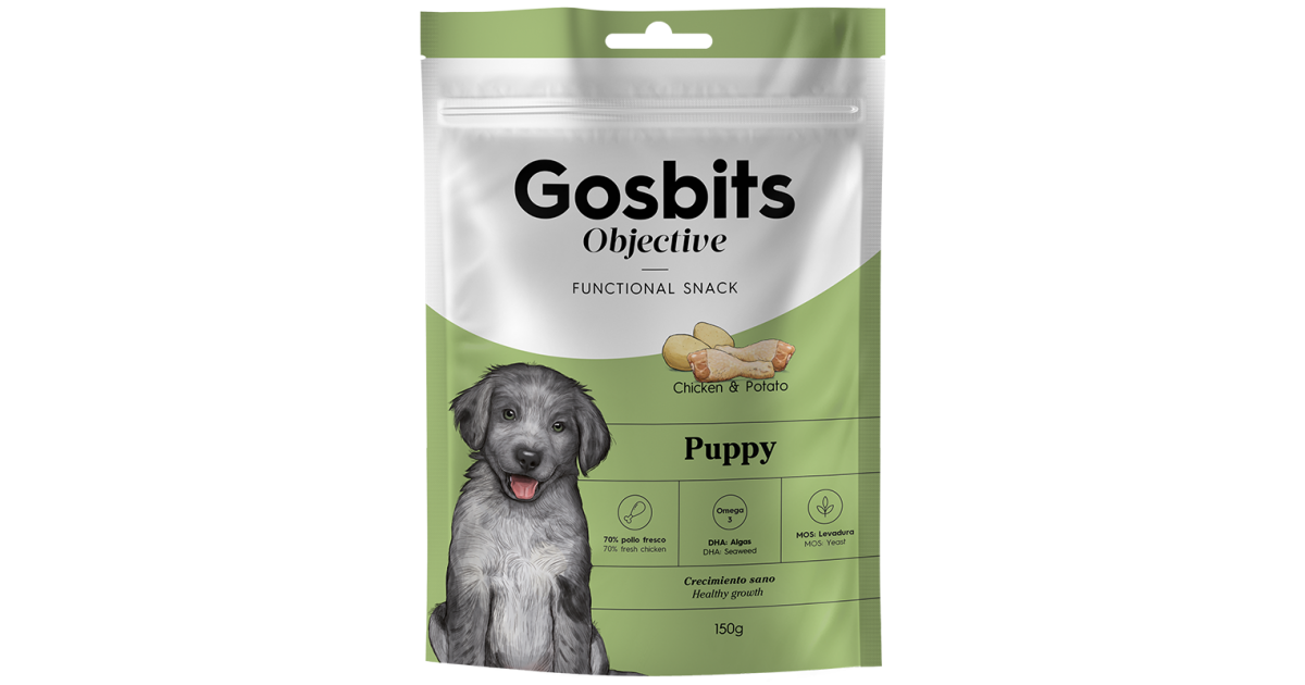 Gosbi - Gosbits Puppy Gosbi - 1