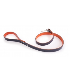 Laisse Allure Martin Sellier - 4