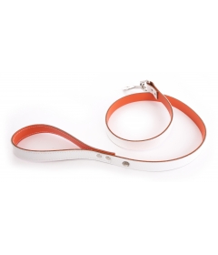 Laisse Allure Martin Sellier - 7