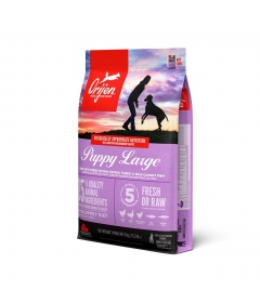 Croquettes pour chiens Orijen - Dog Puppy Large Orijen - 1