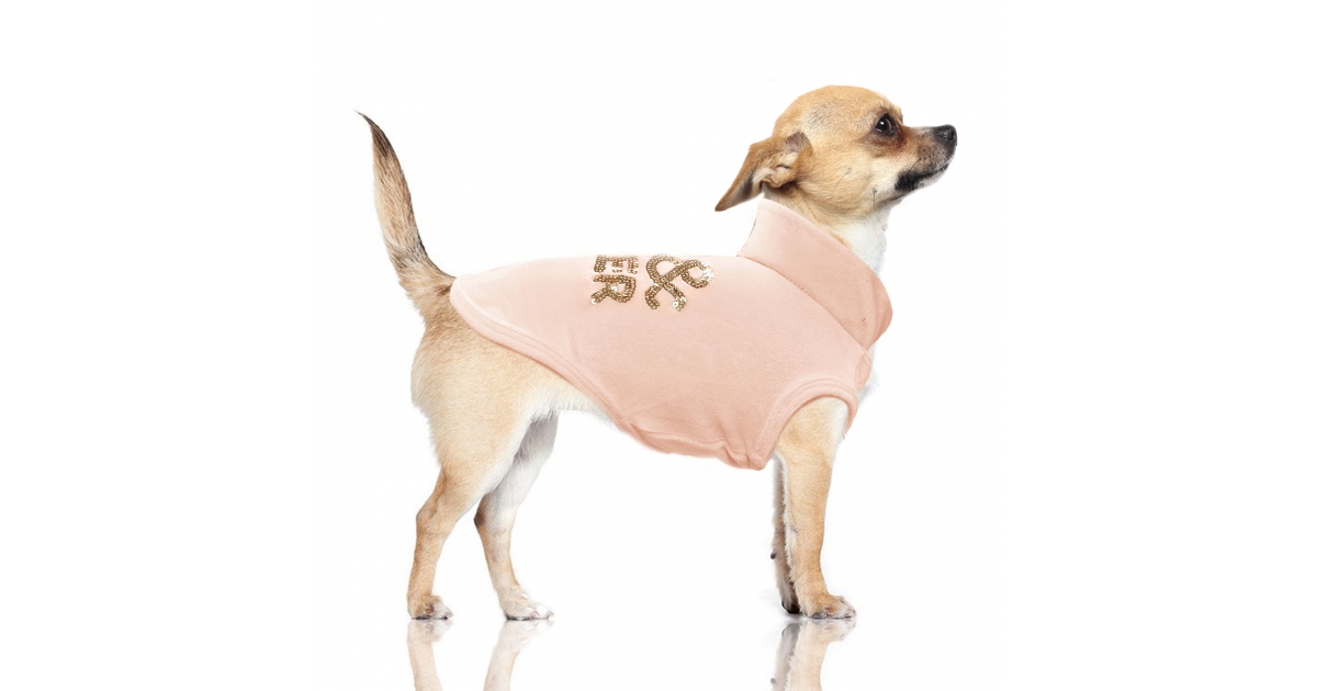 Sweat pour chiens - Sweat en velours OSLO  Milk & Pepper - 1