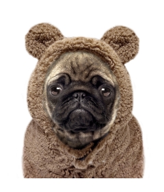 Sweat à capuche avec fourrure AYDEN  Milk & Pepper - 1