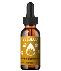 Complément alimentaire Fleur de Bach 30mL - Destruction Velbecia - 1