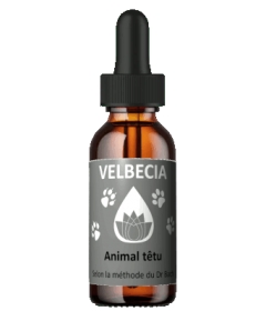 Complément alimentaire Fleur de Bach 30mL - Têtu Velbecia - 1