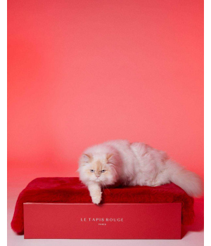 Couchage pour chiens - Le Tapis Paris Le Tapis Rouge  - 1