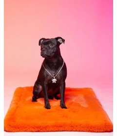 Couchage pour chiens - Le Tapis Lisse Le Tapis Rouge  - 3