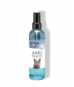 Lotion lavante sans rincage Chat