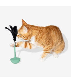 Teaser Cat Toy  Zee Dog - 5