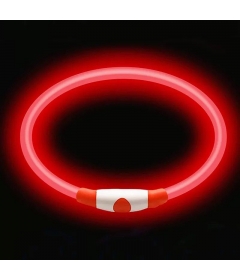 Collier lumineux Chien - Rechargeable  - 3