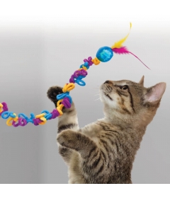 Kong - Loopz Teaser Kong - 2