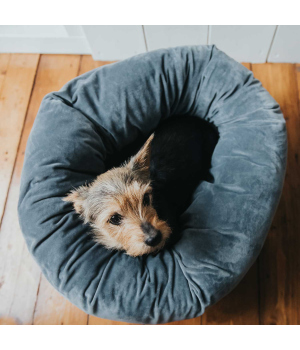 Couchage pour chiens et chats - couchage Miranda Hunter - 3