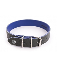 Collier pour chien - Collier Allure Martin Sellier - 4