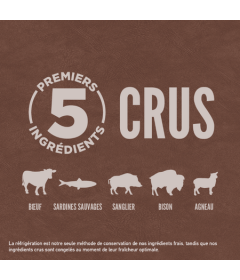 Orijen - Cat Regional Red Orijen - 1