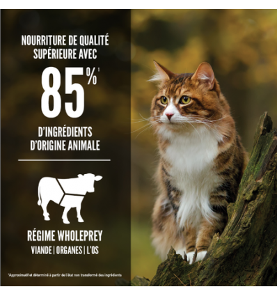 Orijen - Cat Regional Red Orijen - 2