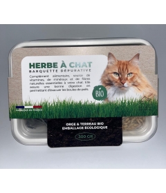 Herbe à chat dépurative BIO