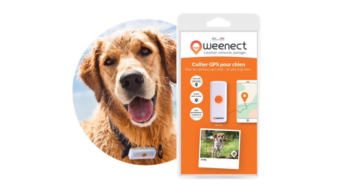 Weenect - GPS v2 pour chien