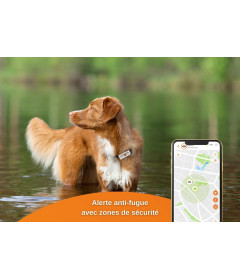 Weenect - GPS v2 pour chien