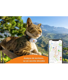 Collier pour chat GPS - Weenect - GPS v2 pour chat