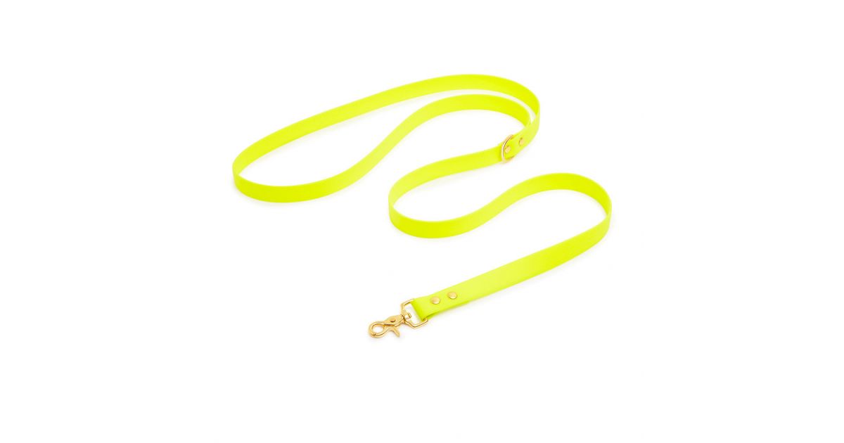 Laisse bandoulière - Joyeux