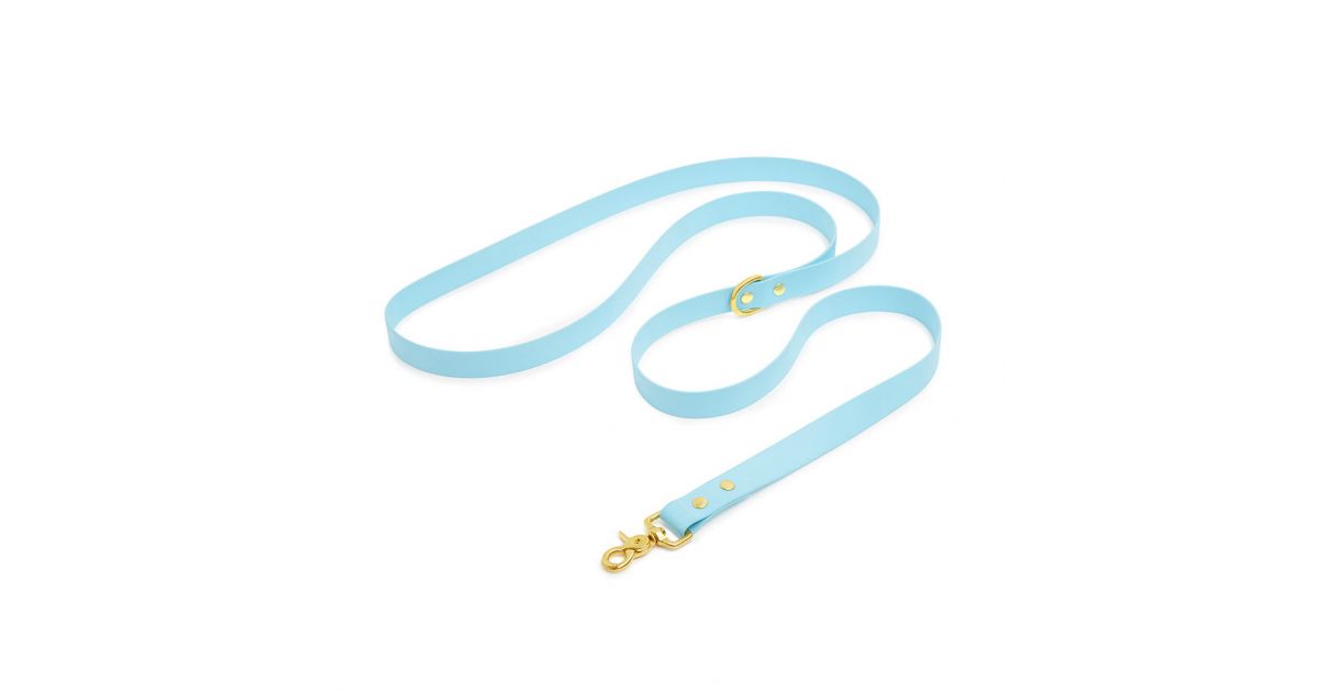 Laisse bandoulière - Dragueur