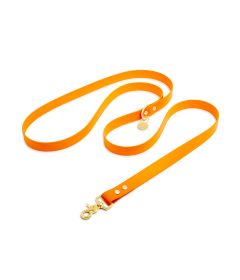 Laisse bandoulière - Pitchoune