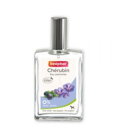 Parfum Cherubin