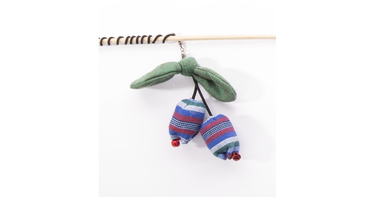 Canacat fruit exotique