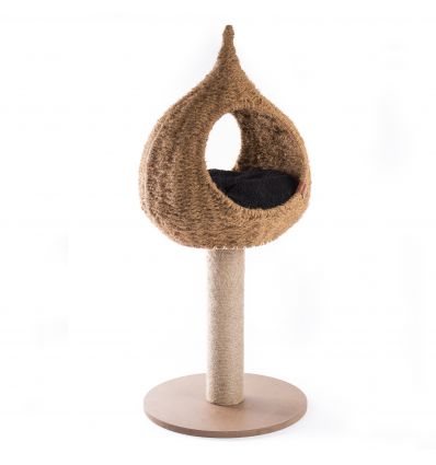 Arbre à chat goutte Balinaise