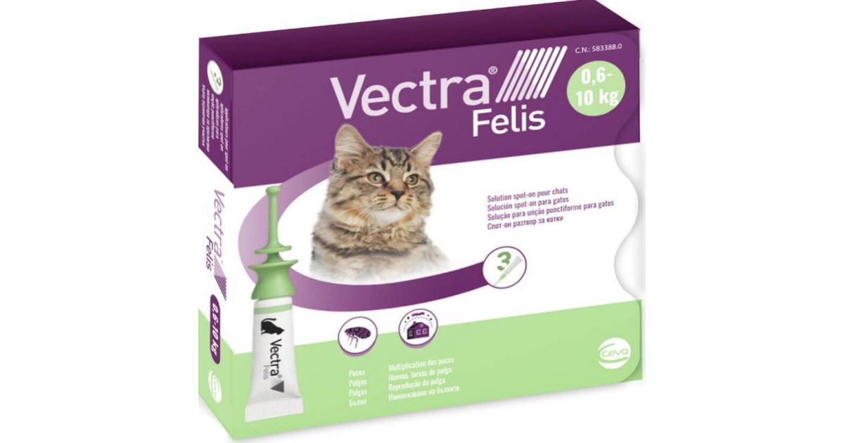 3 pipettes Vectra Felis