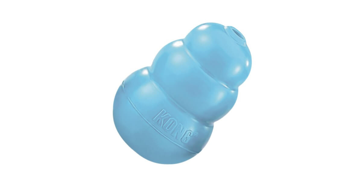 Kong - puppy Kong - 1