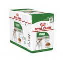 Royal Canin - Mini adulte Sauce