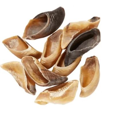 5 Sabots de Veau Cernu