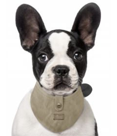 Bandana Jefferson kaki