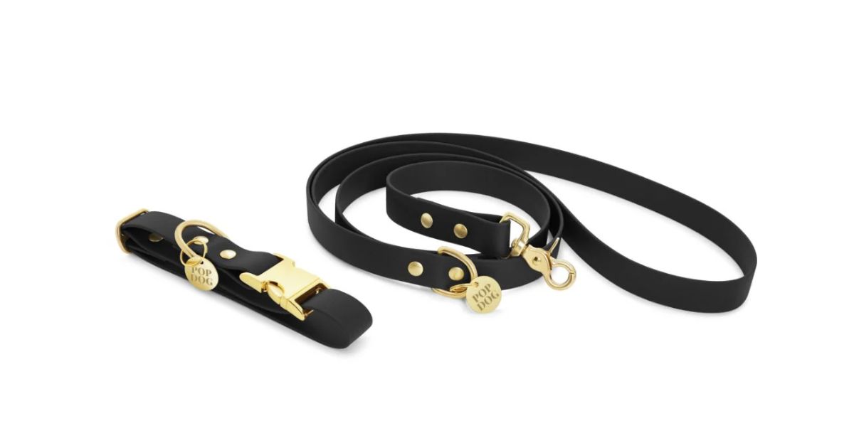 Laisse bandoulière - Badass