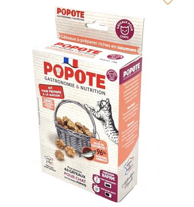 Kit friandise saumon (chat)