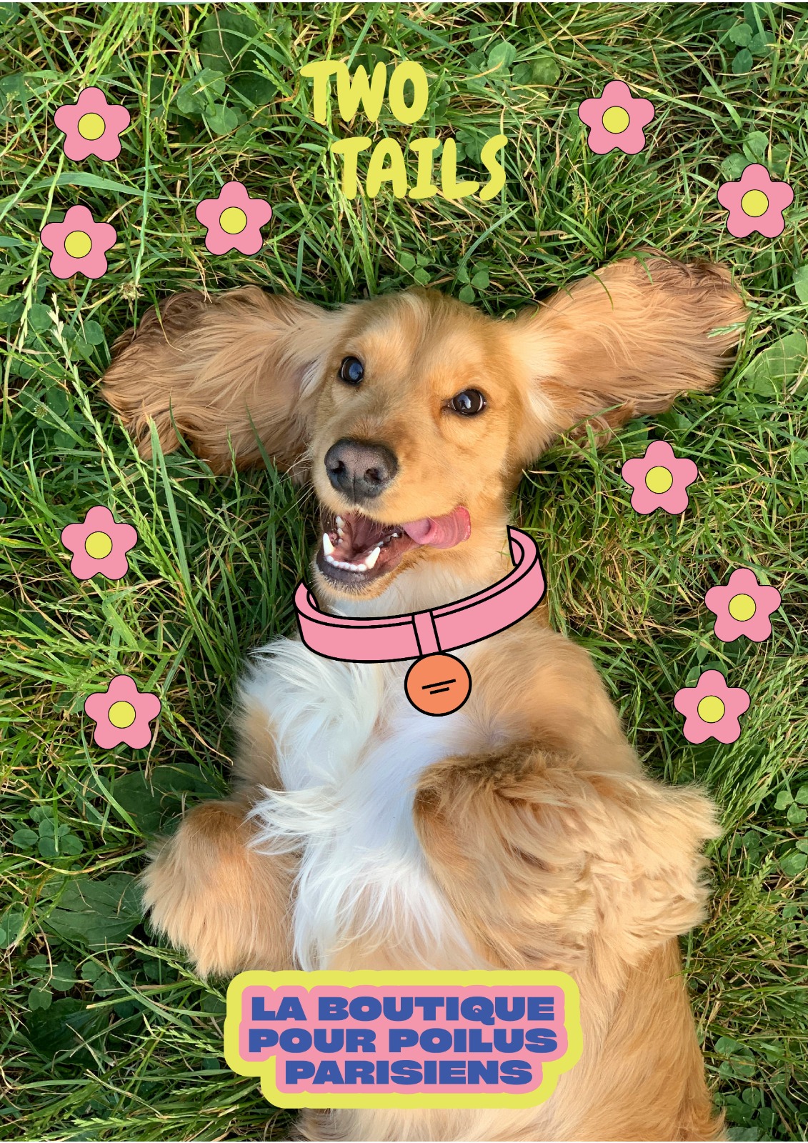 Two Tails concept dog