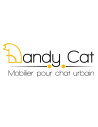 Dandy Cat