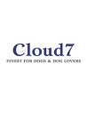 Cloud 7